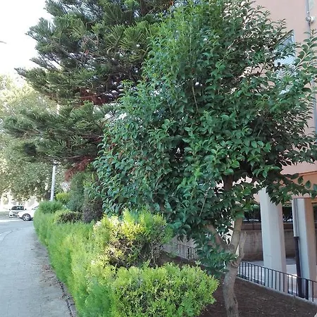 Daire Casa Meucci